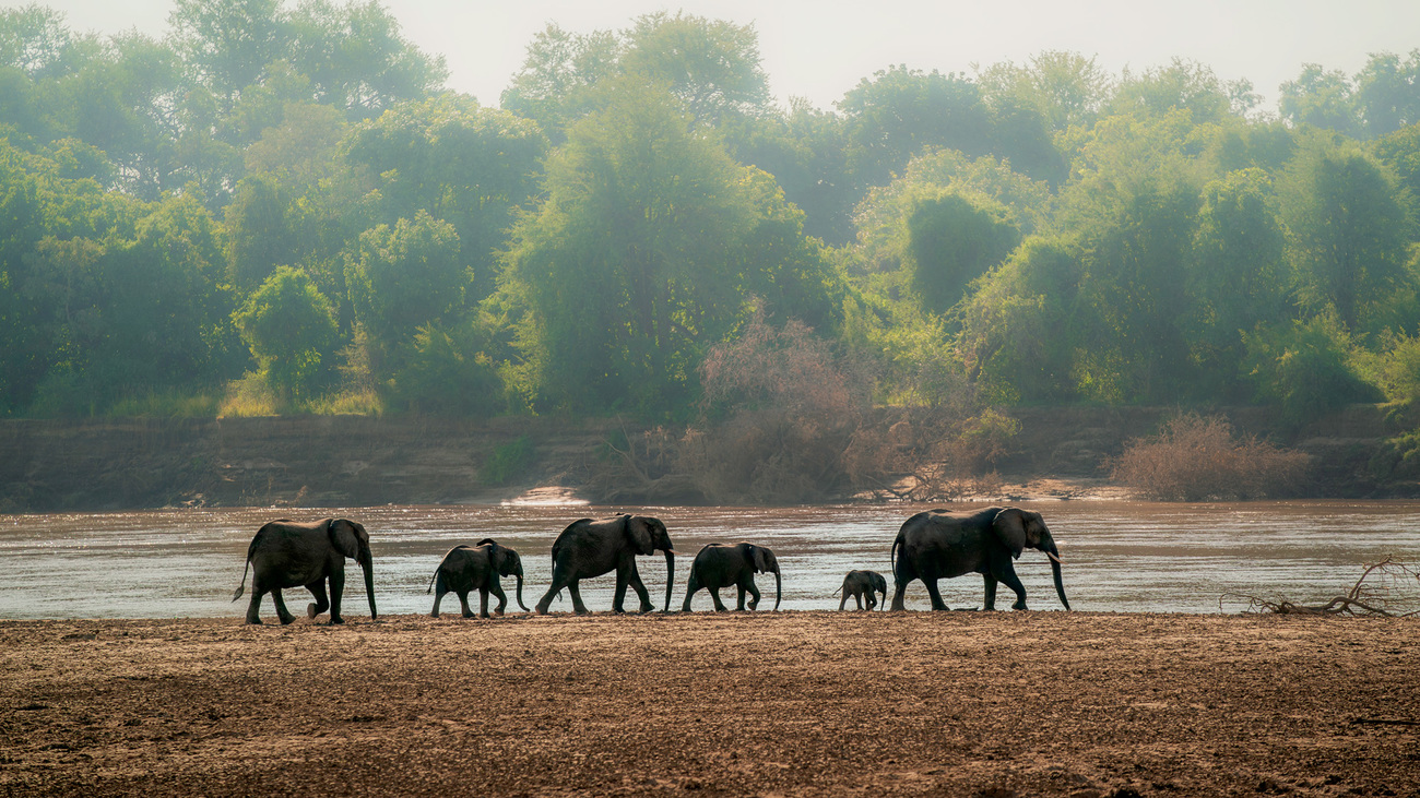 Luangwa Valley