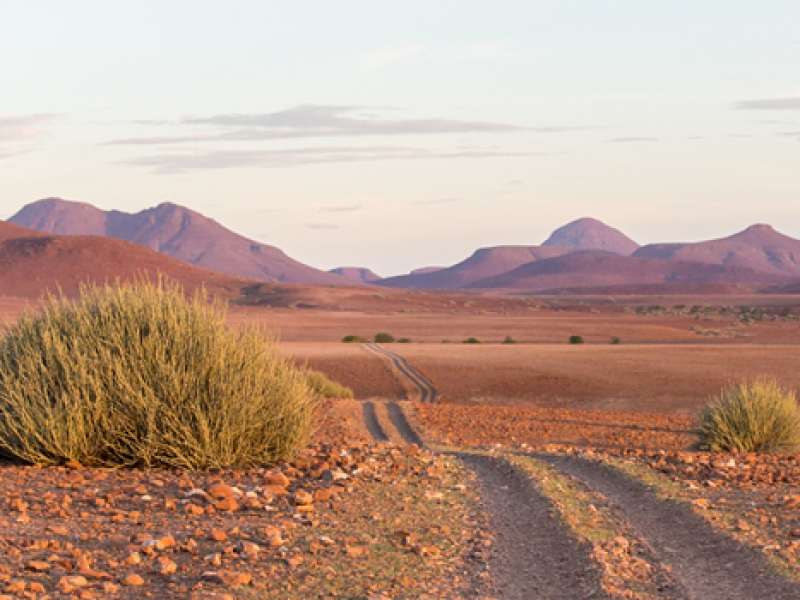 Namibia | Damaraland & Etosha