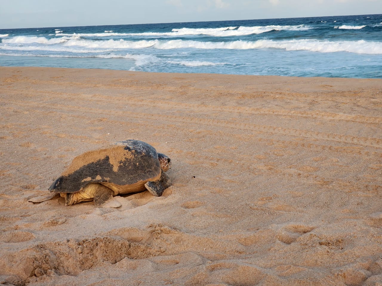 WhatsApp Image 2024 08 19 at 17.28.27 df32972d