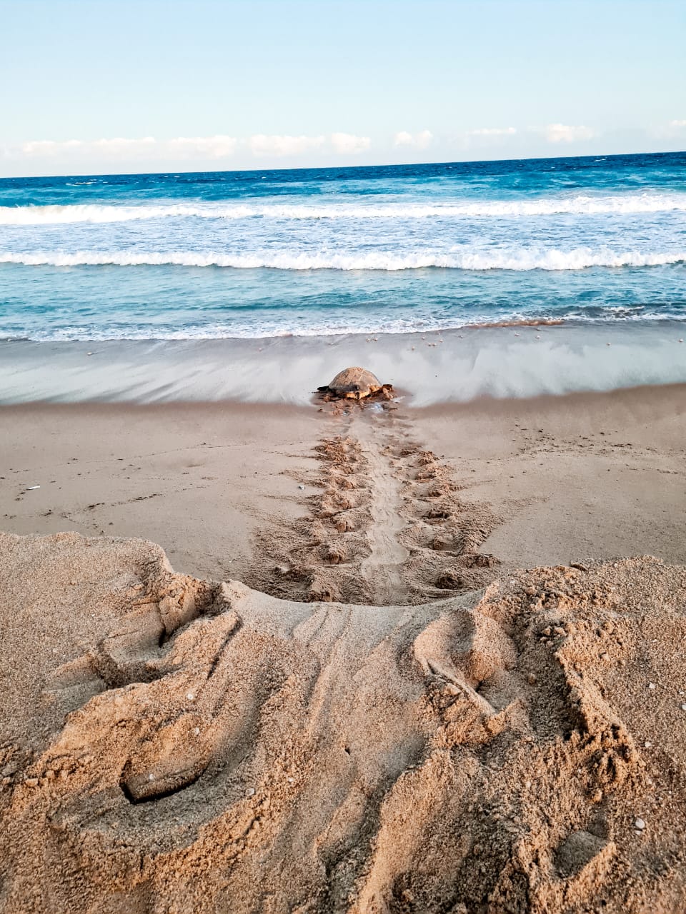 WhatsApp Image 2024 08 19 at 17.28.28 43aa0569