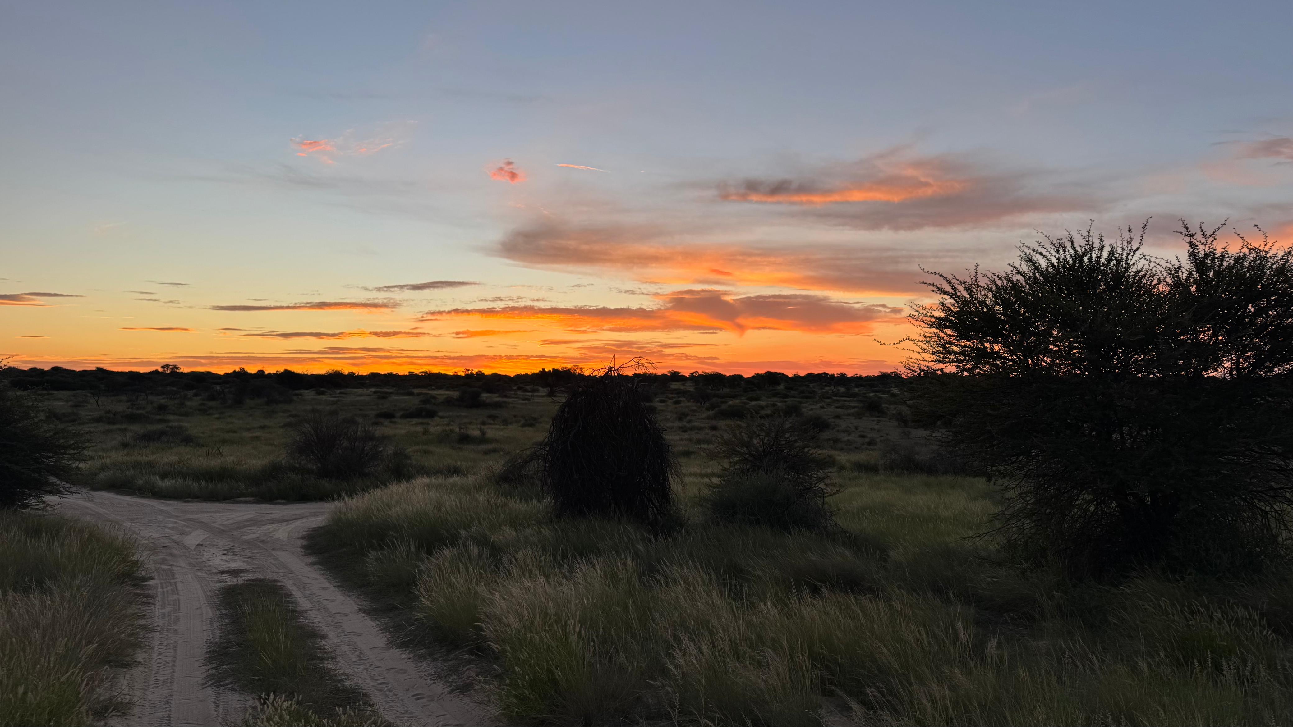 bhejane 4x4 adventure botswana travel family holidays outdoor safari african off guided road tours beyond adventures central kalahari 20