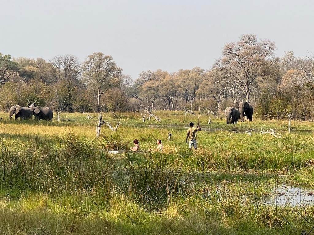 Khwai River area