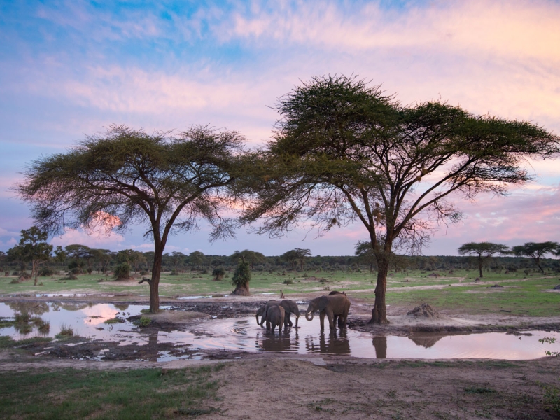 ZIMBABWE: JEWEL IN THE CROWN