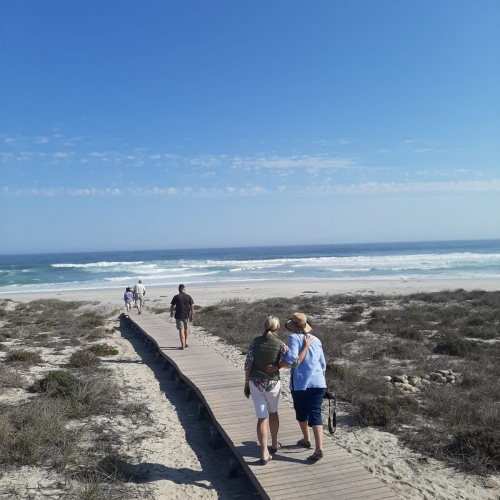 Western Cape