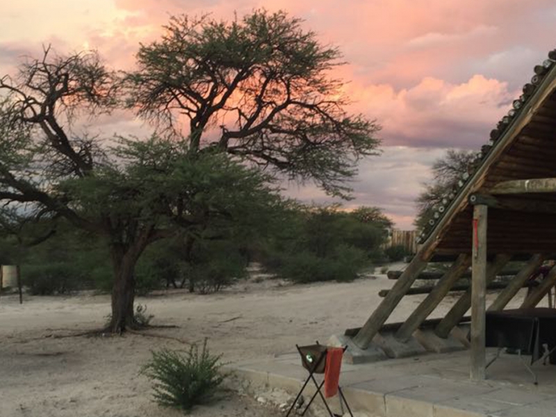 Botswana | Greater Kalahari Kgalagadi Transfrontier Park