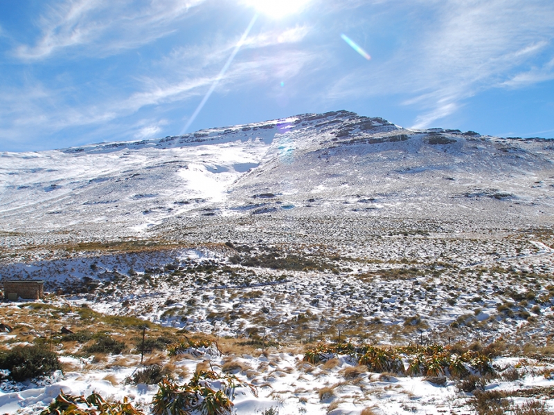 Lesotho | Snow