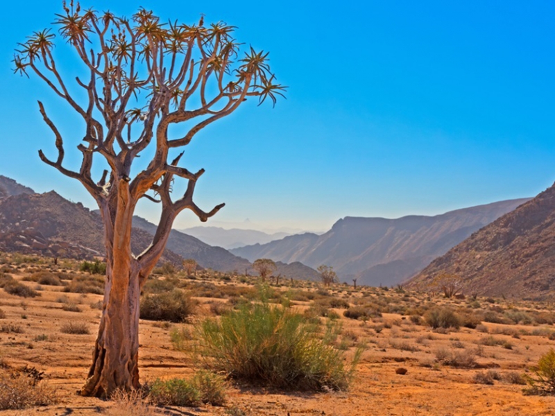 Northern Cape | Richtersveld Transfrontier Park